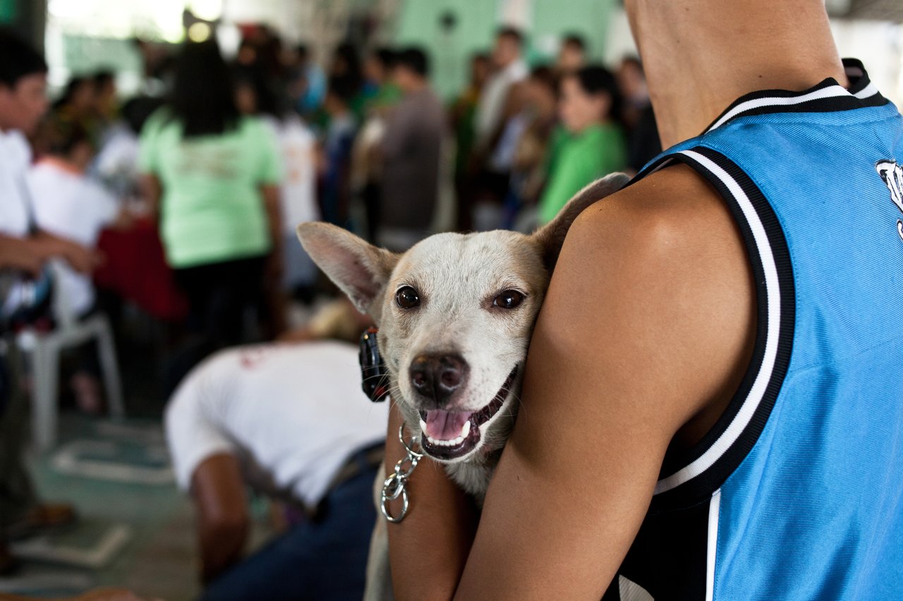 A World Animal Protection staff holding a dog