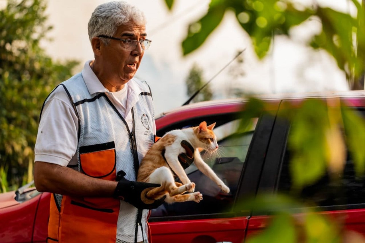 World Animal Protection safety DLO, Fernando Costa, helps residents evacuate their animals from a residential area impacted by the fire.