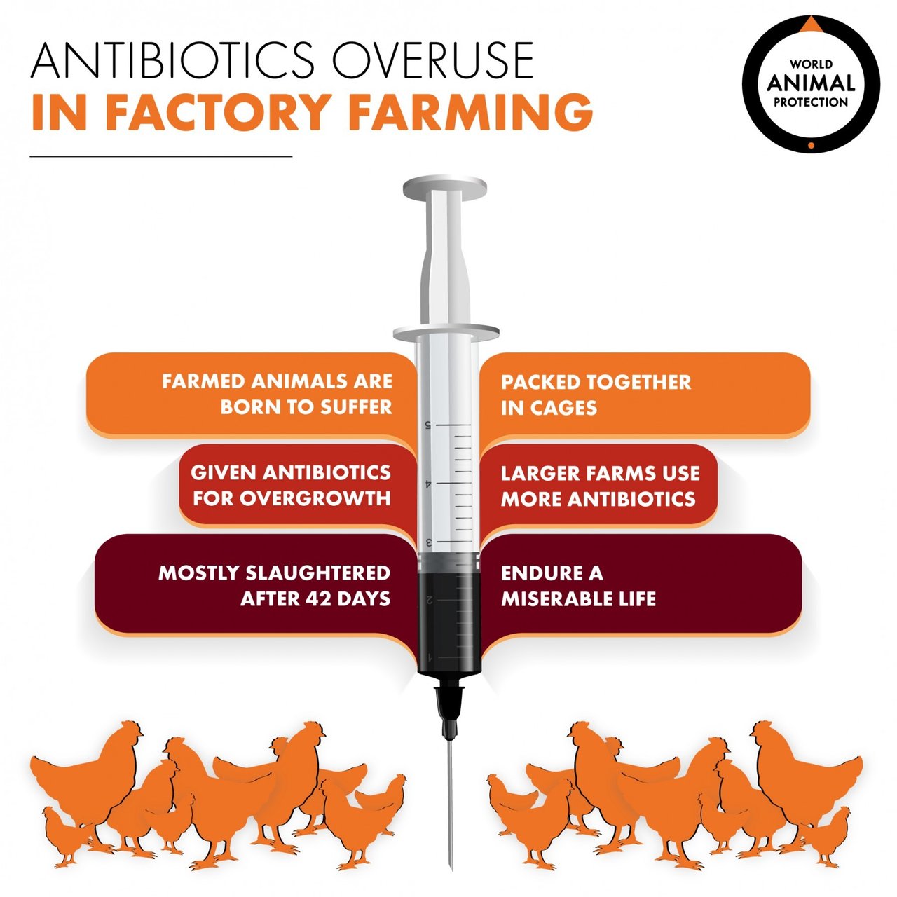 pandemic corona virus world animal protection india 