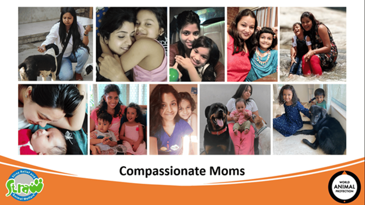 Compassionate moms sharing their stories of plant based diet