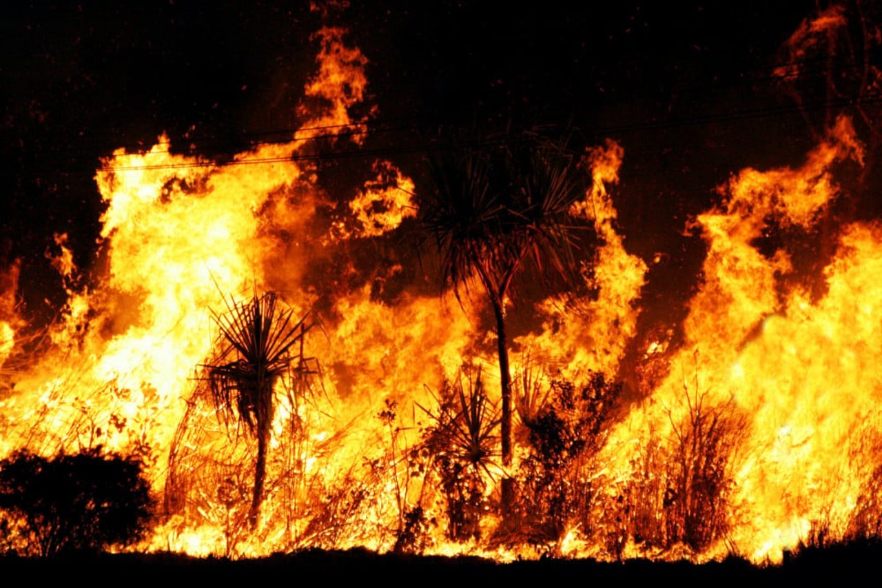 australian bushfires 