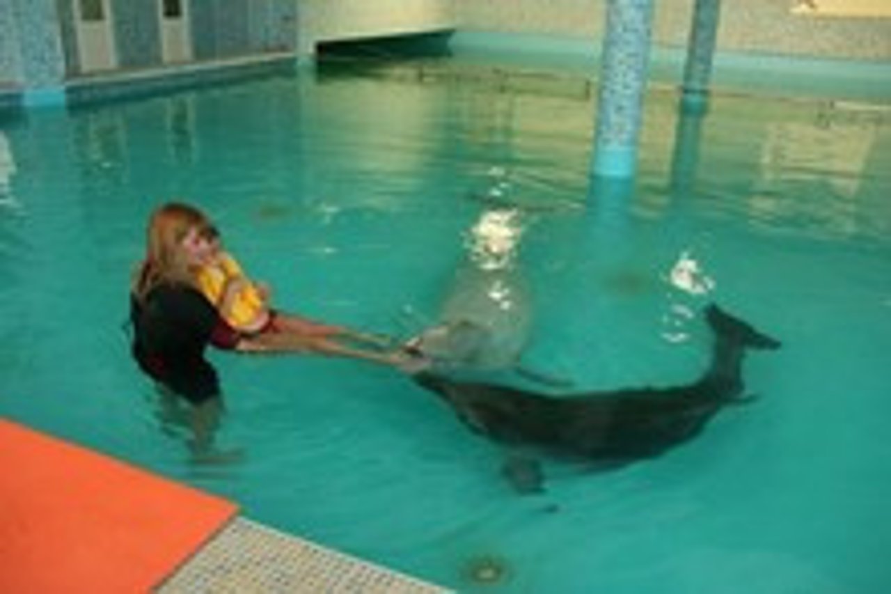 dolphin therapy