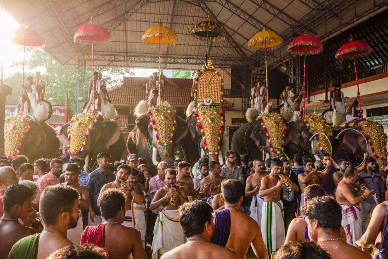 elephant ceremony in kerala, Anayadi Gajamela, Thrissur Pooram, world animal protection india