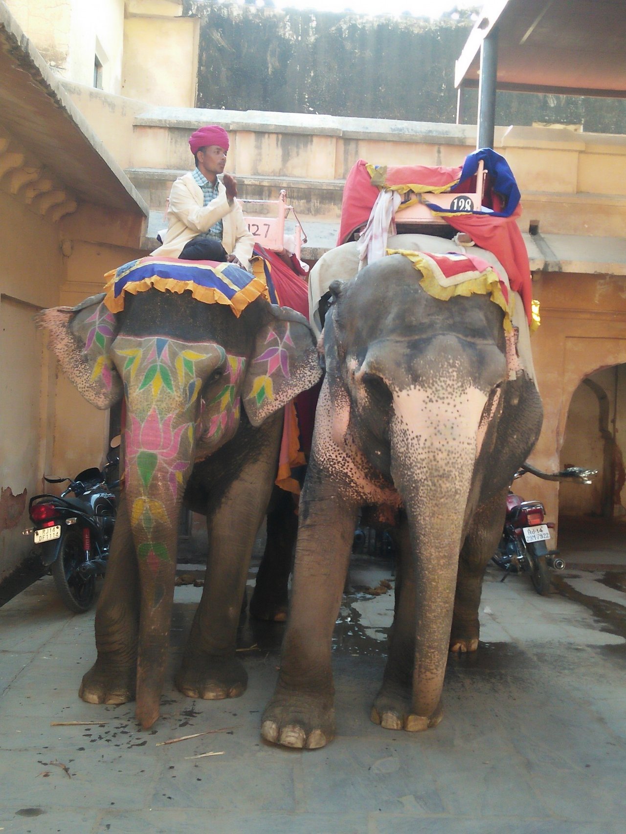 Elephants in Amer fort stable in Jaipur Shubhobroto Ghosh