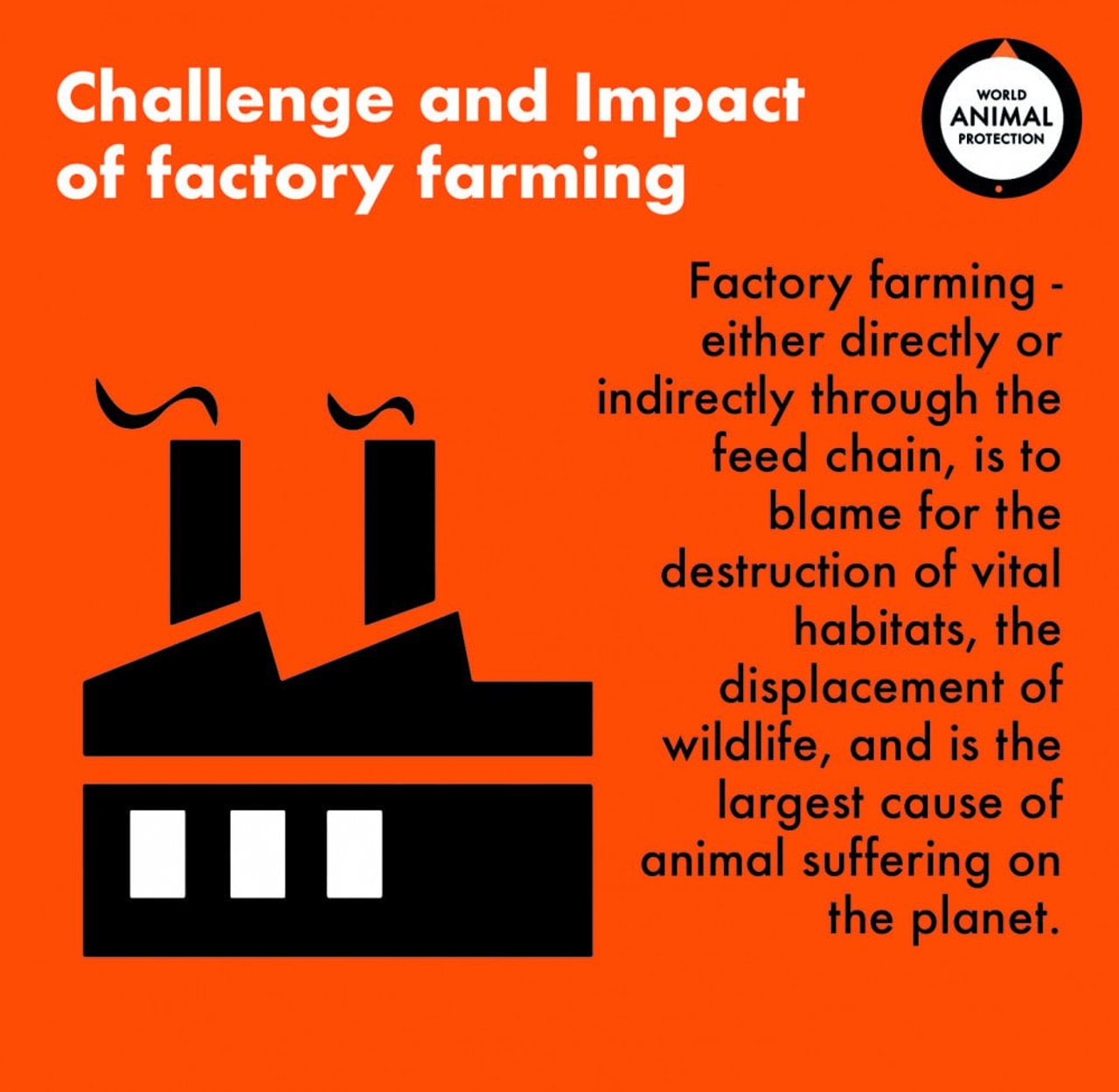 Factory farming challenge and impact 