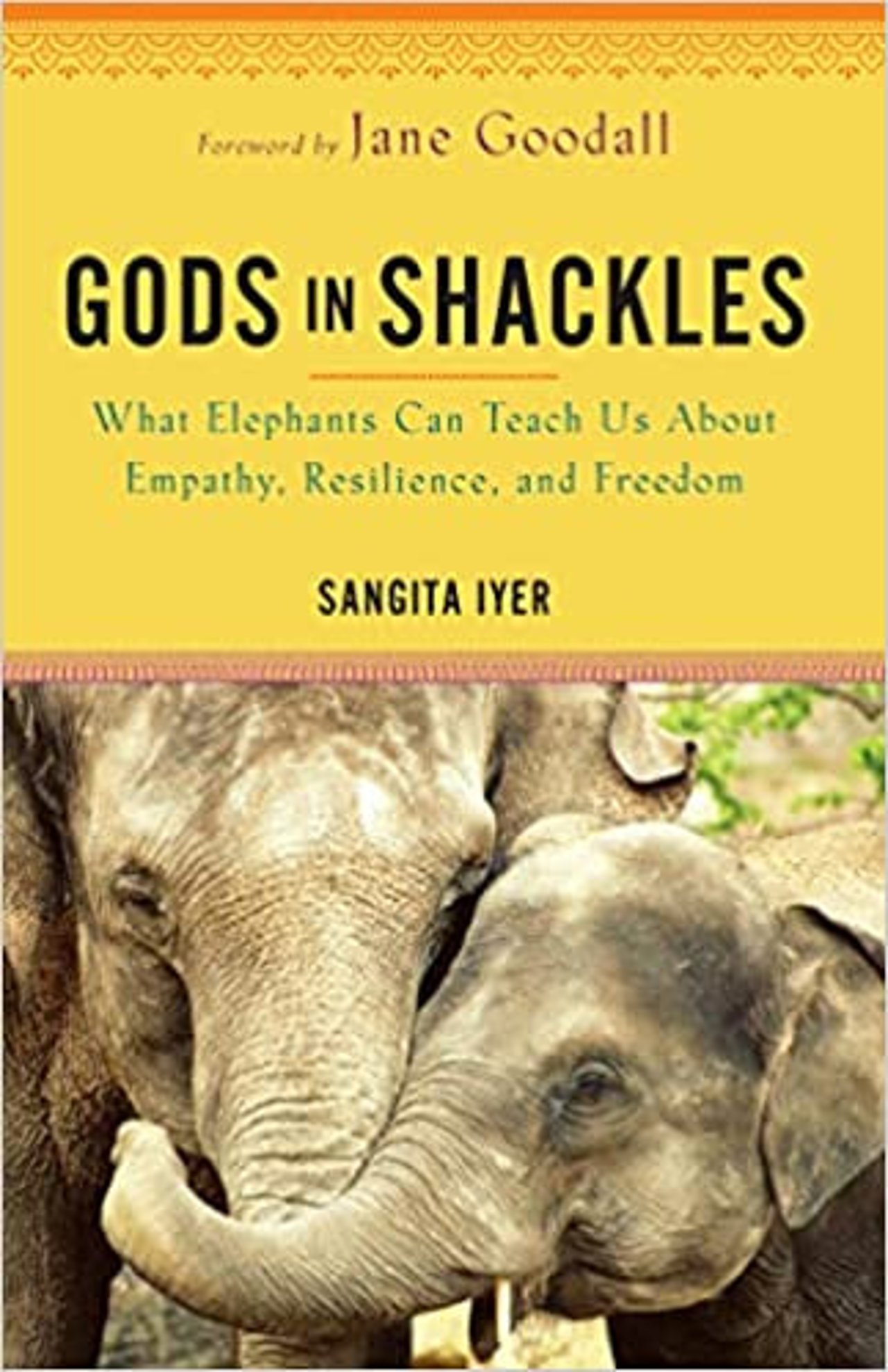 Gods in shackles by Sangita Iyer 