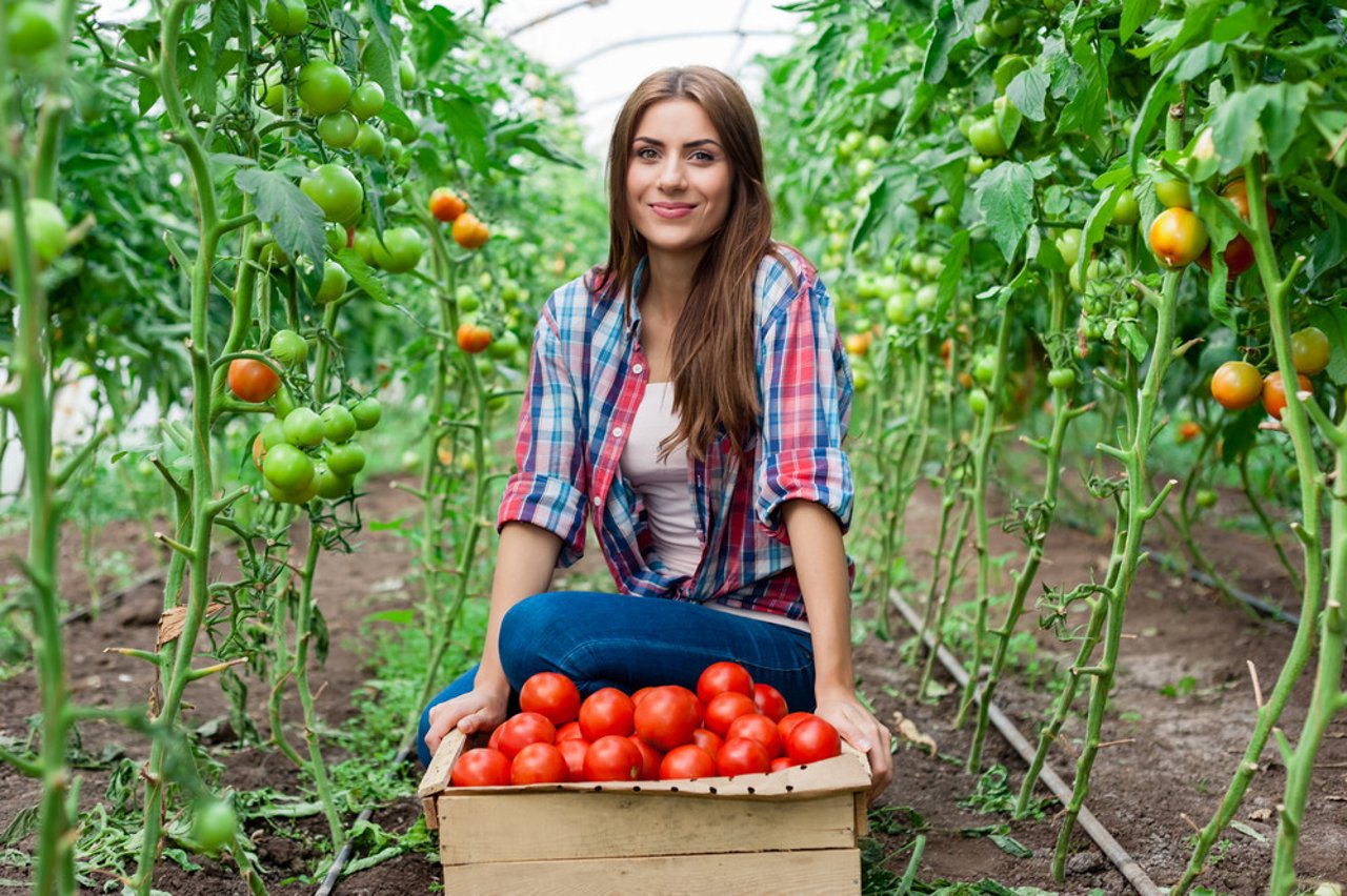 greenhouse gas emission, plant based food 