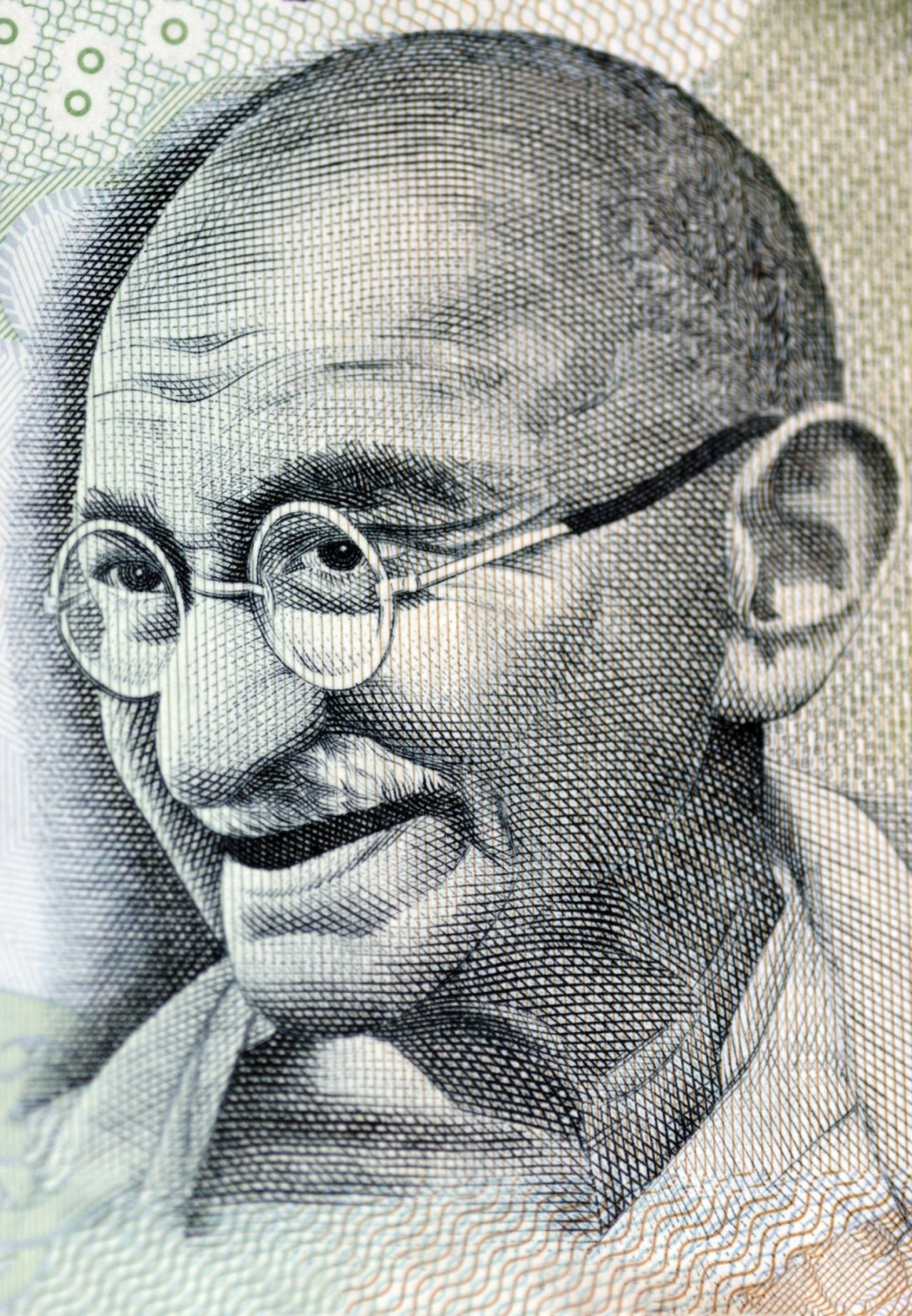 mahatma gandhi world animal protection india