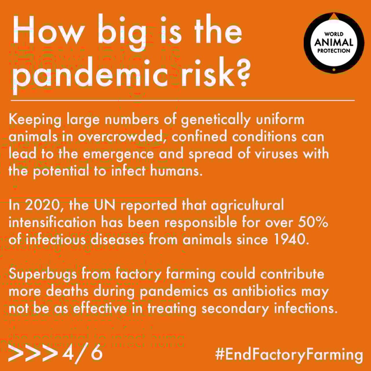 superbugs6