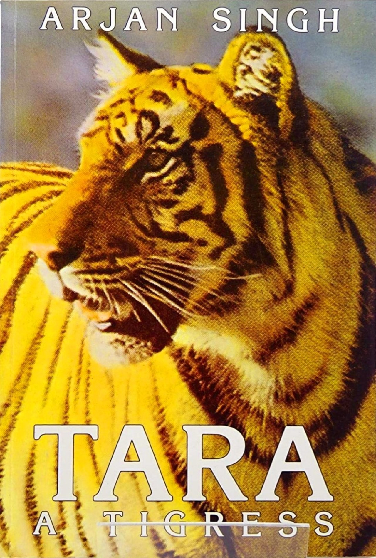 Tara, a hybrid Siberian Bengal tigress raised by Billy Arjan Singh in Dudhwa National Park Book cover image