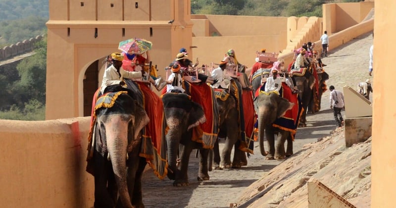 Ett hjärtskärande besök på Amer Fort