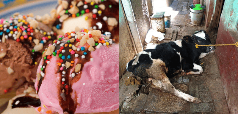 Ice cream cart