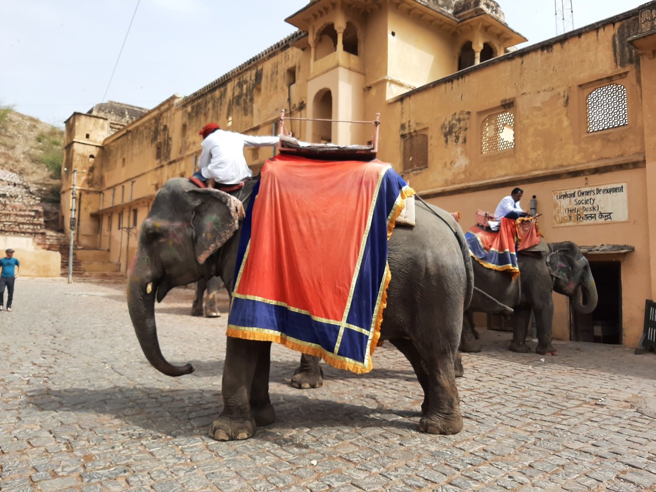Amer Fort elephant in Jaipur  captured by Shubhobroto Ghosh