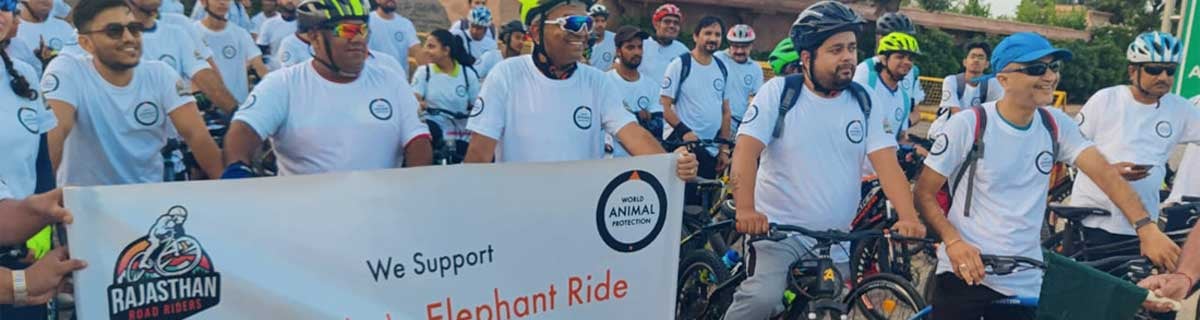 Supporters “Walk for Elephants” on World Elephant Day
