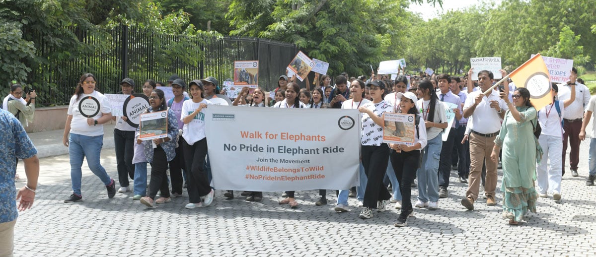 World Animal Protection India Walk for Elephants August 2023