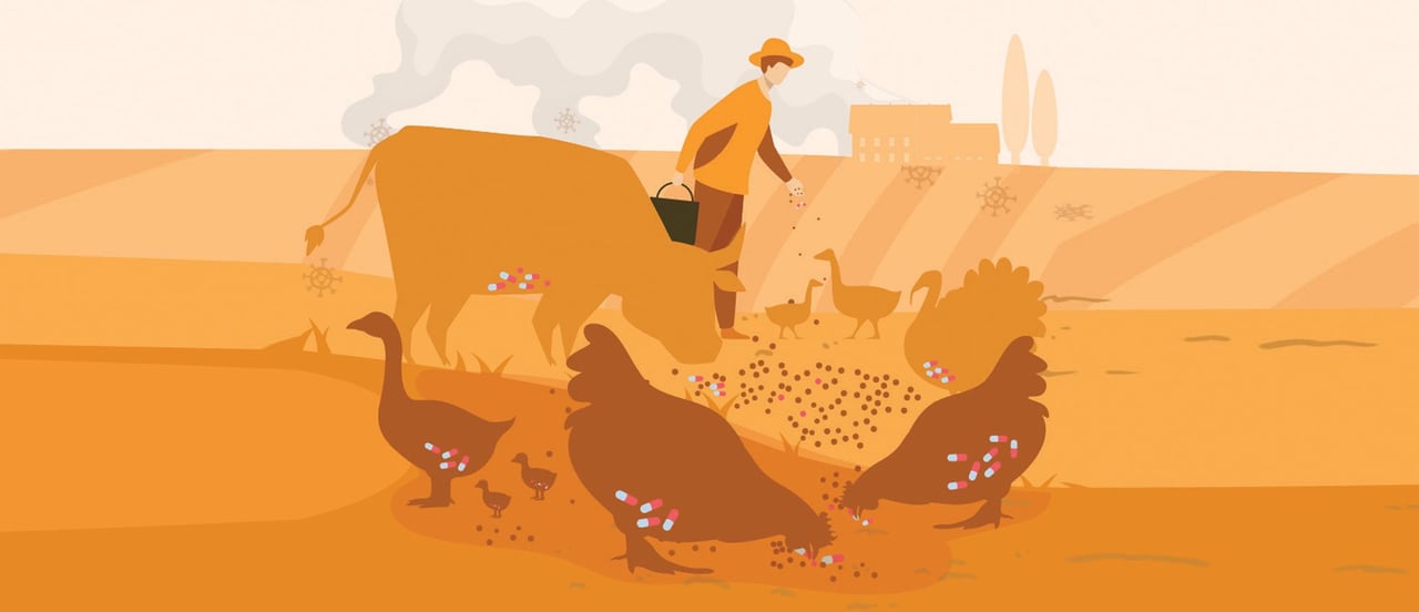 Graphic depiction of antibiotic use in factory farming