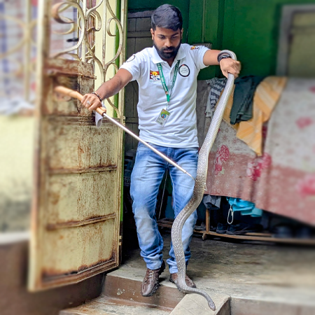 Snake rescue