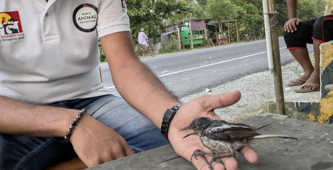 Jun25 Rescue