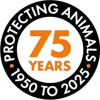 World Animal Protection's 75th anniversary logo