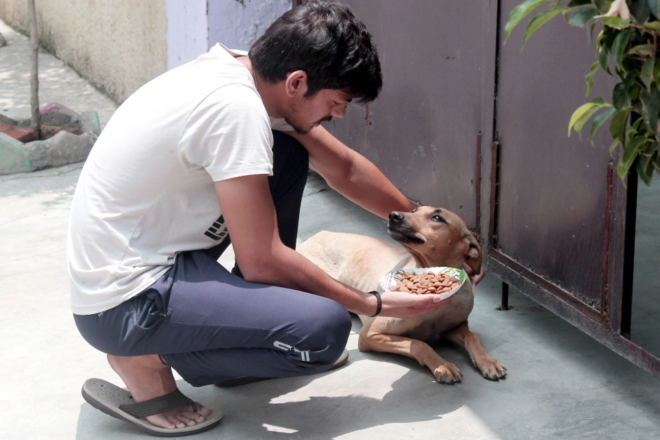 A man feeding a grateful dog on the street