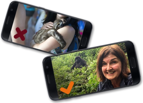 Side by side comparison of an appropriate and inappropriate wildlife selfie