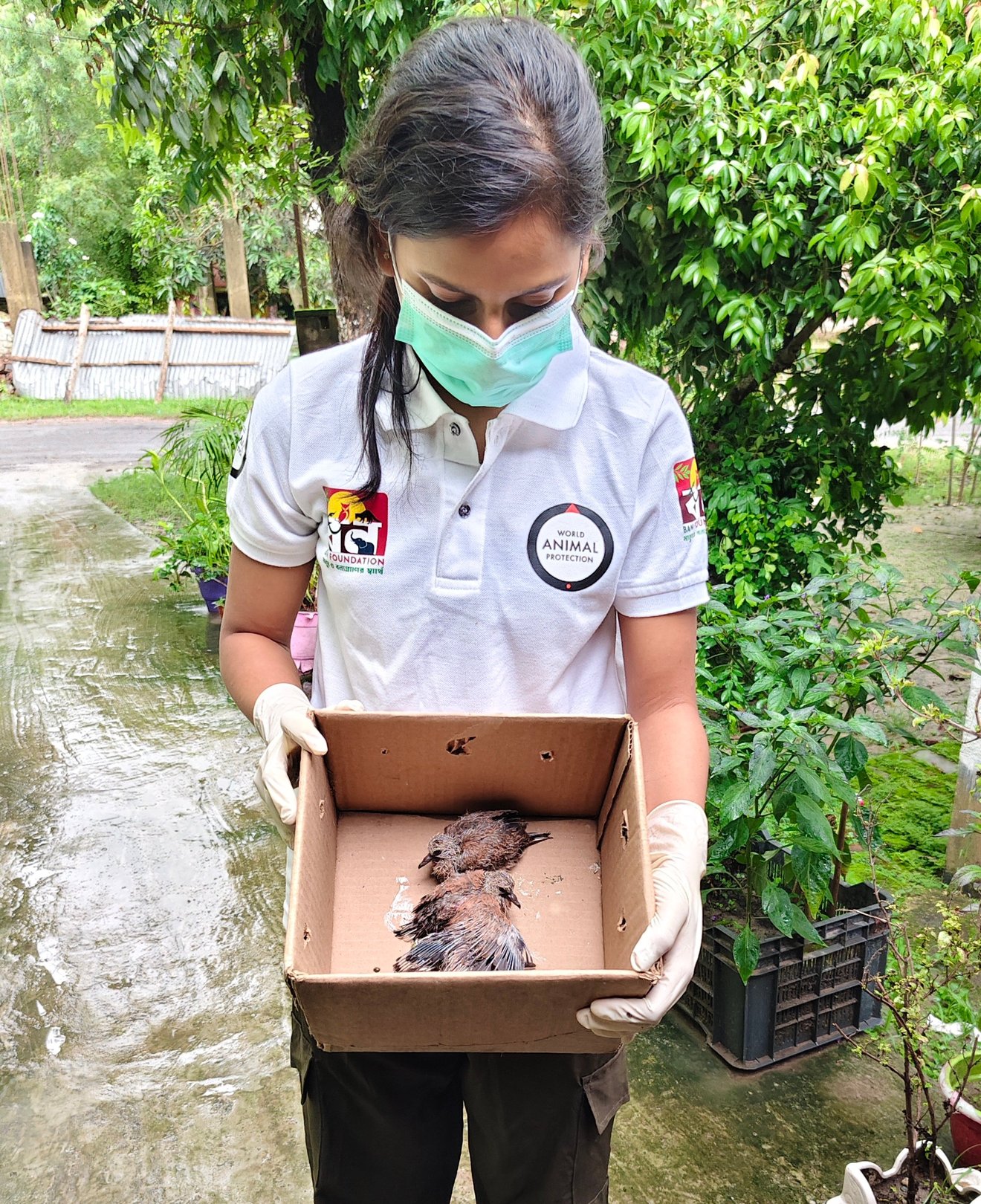 JUN25 Rescue