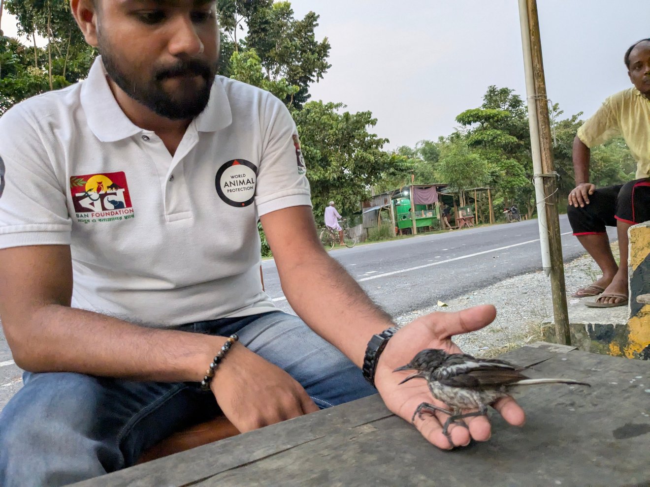 JUN25 Rescue