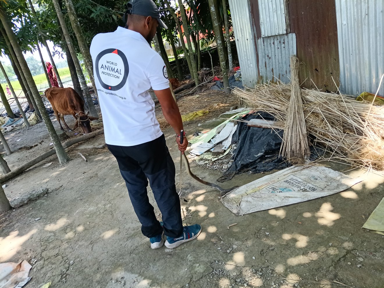Jun2025 Snake Rescue