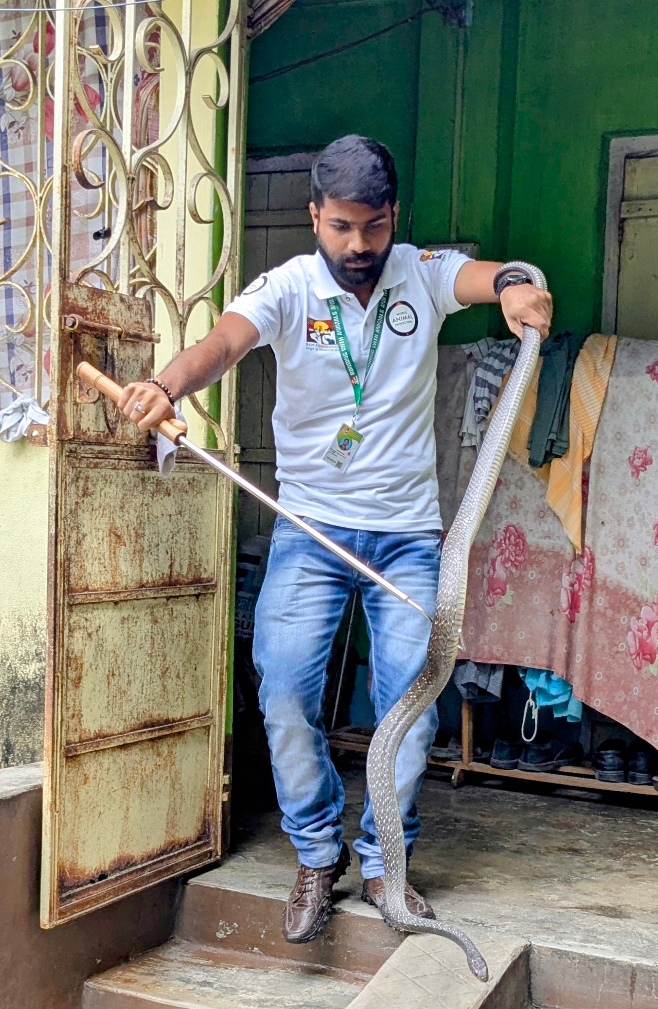 Jun2025 Snake Rescue