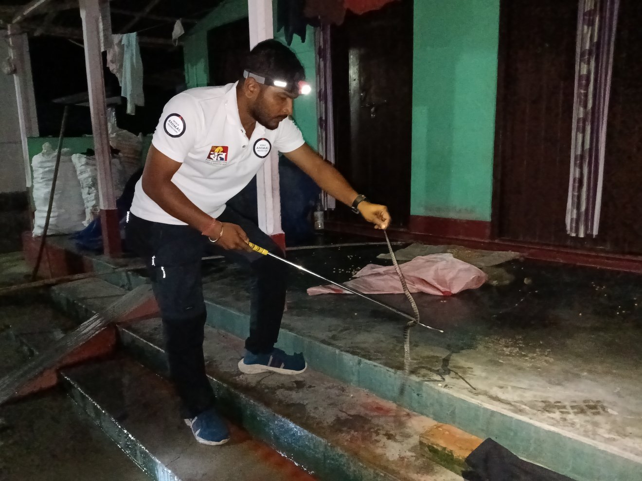 Jun2025 Snake Rescue