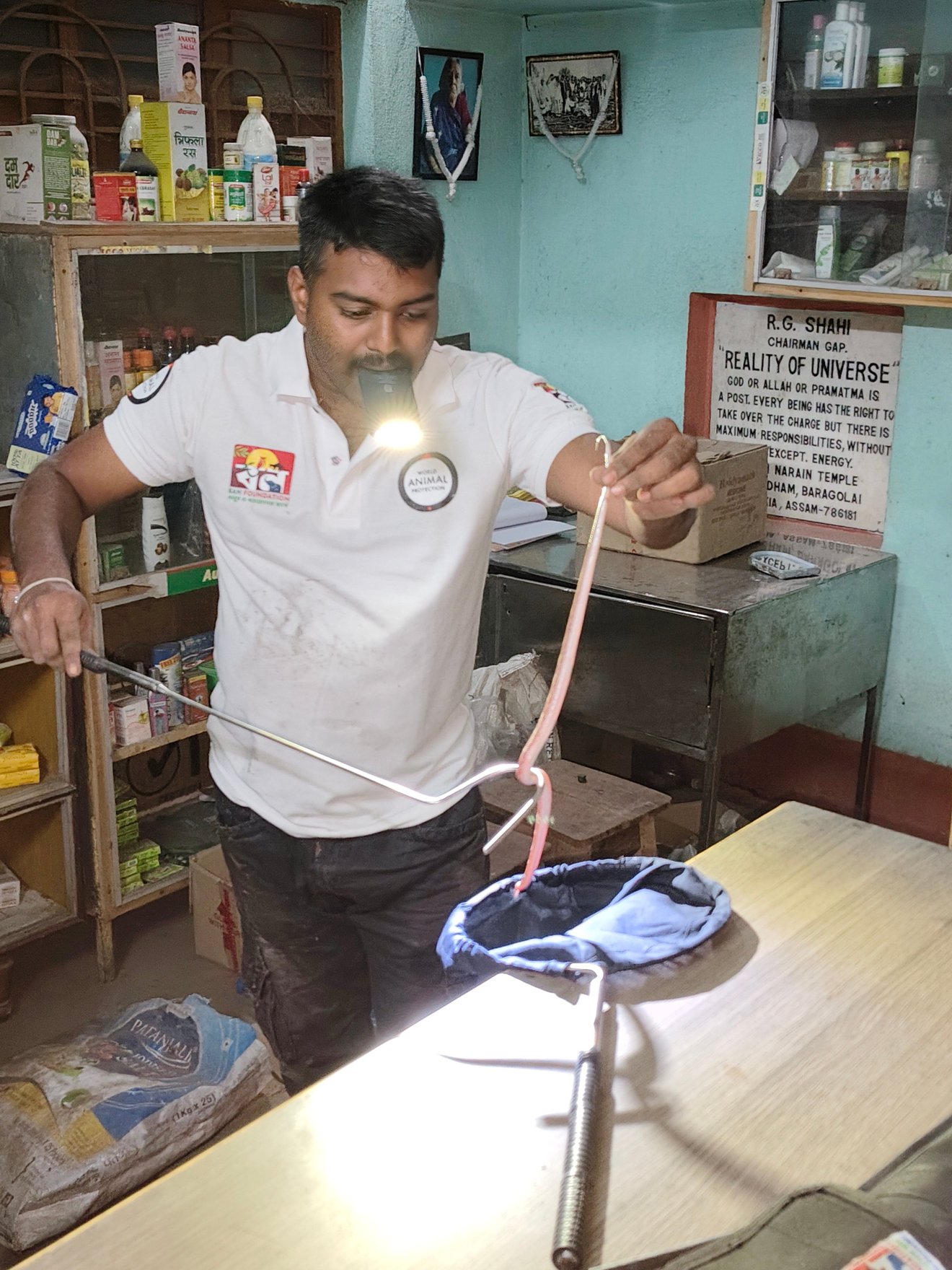 Jun2025 Snake Rescue