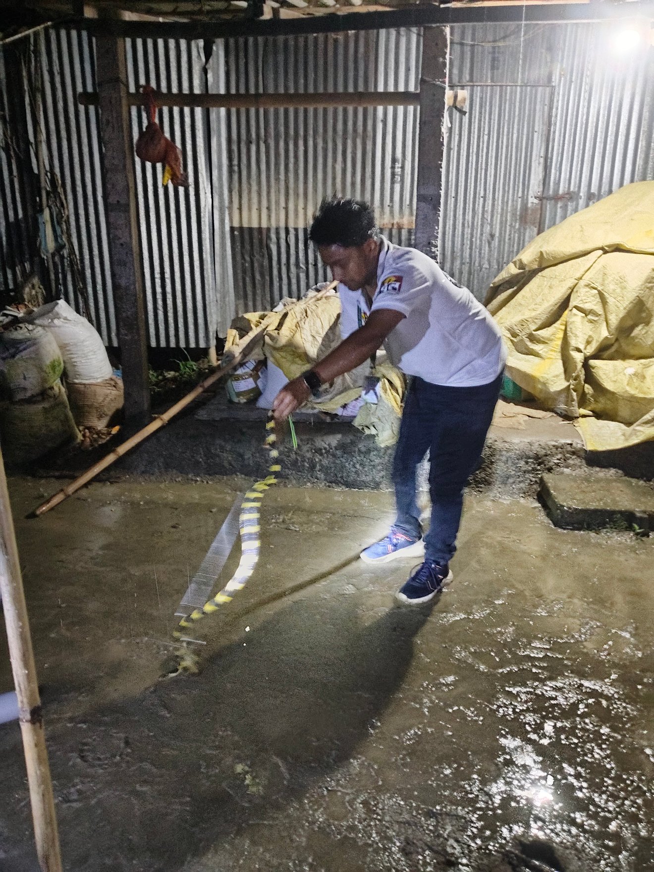 Jun2025 Snake Rescue