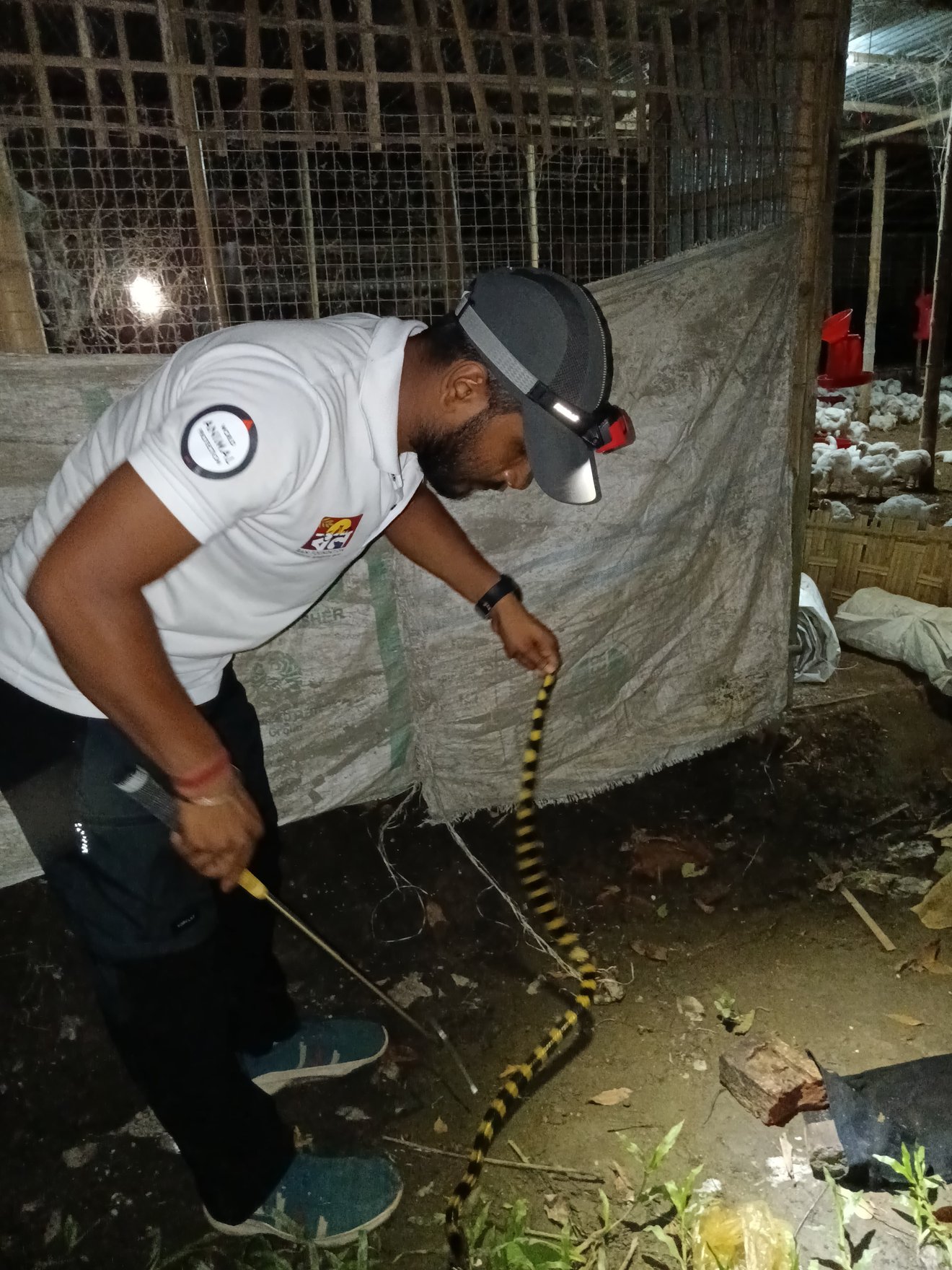 Jun2025 Snake Rescue