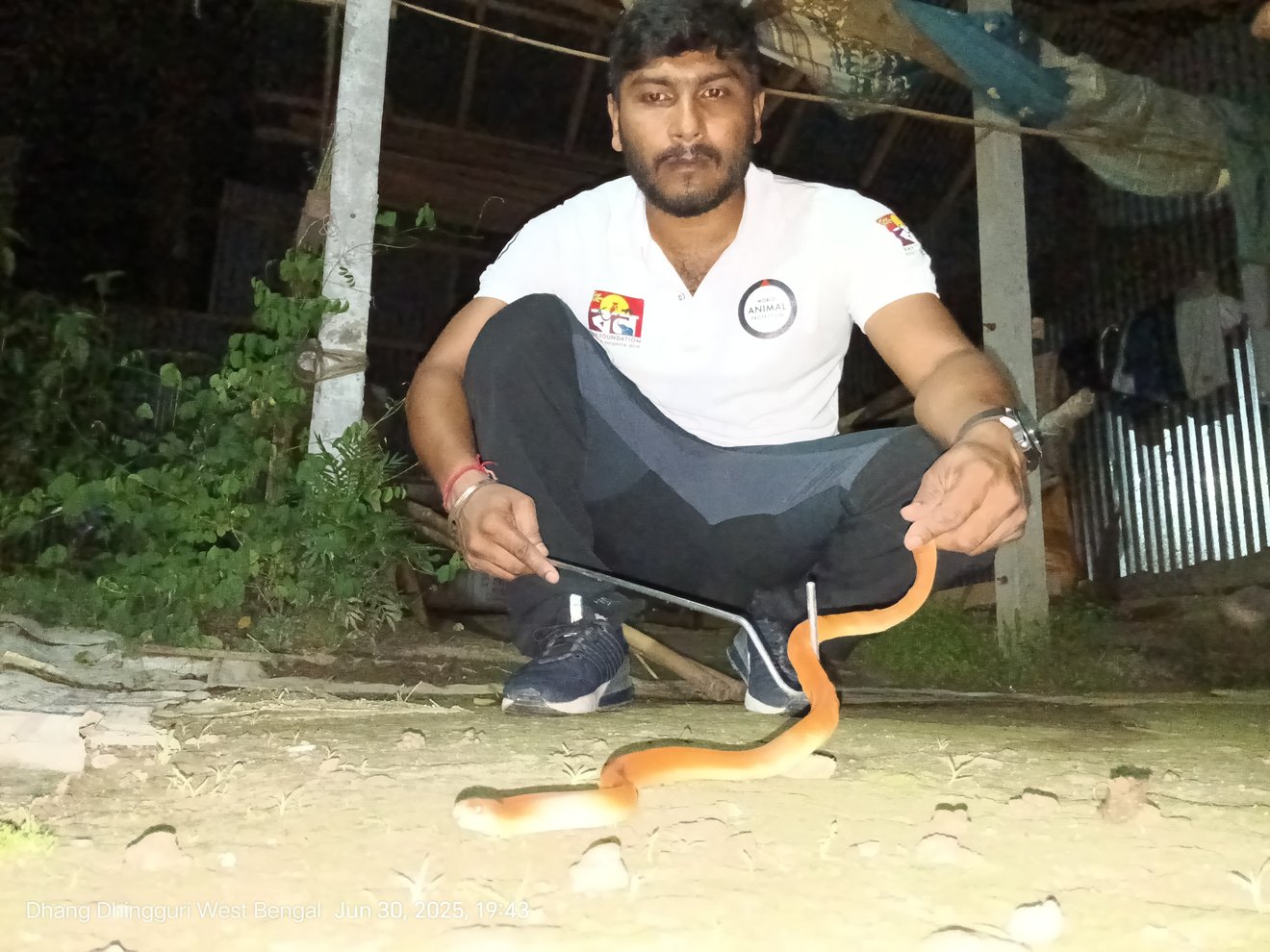 Jun2025 Snake Rescue