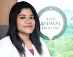 Campaign Officer for Animals in Farming