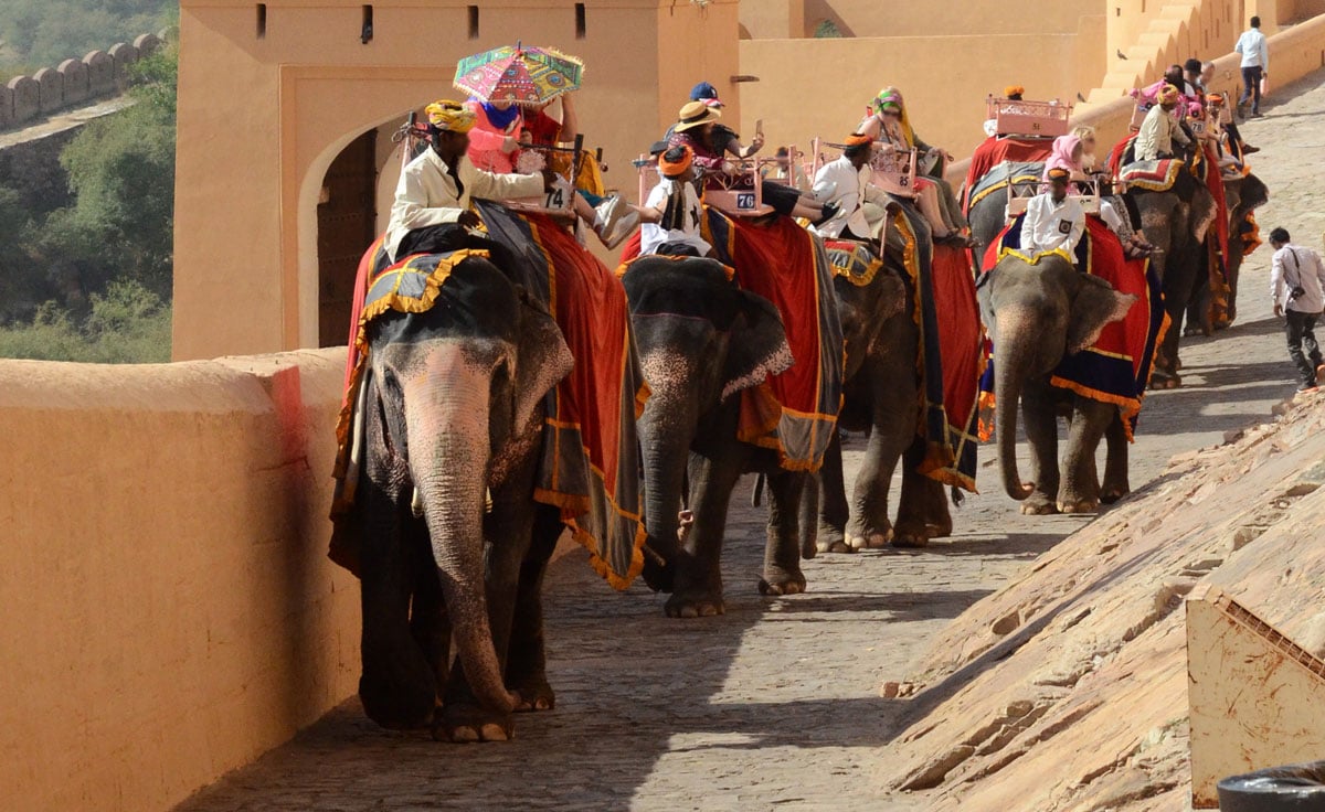 Tourists riding elephants at Amer Fort, Rajasthan, India