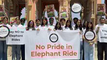Volunteers and participants at a World Animal Protection protest in Jaipur holding banners that read “No Pride in Elephant Ride” and “Wildlife Belongs to the Wild,” calling for an end to elephant rides.