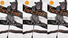 Born Free by Joy Adamson book