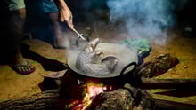 An unconscious pangolin is held by the next by poachers, being boiled while probably still alive.