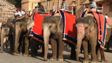 Elefantridning vid Amer Fort