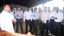 Participants in the workshop