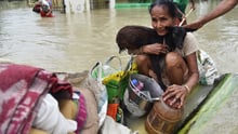 India flood