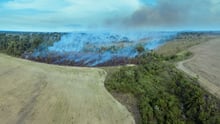 Climate change and factory farming