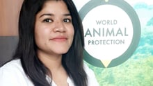 Campaign Officer for Animals in Farming