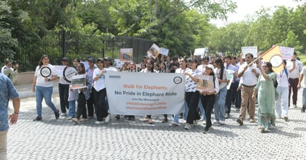 World Animal Protection India Walk for Elephants August 2023