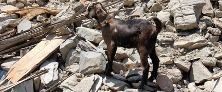 Nepal earthquake