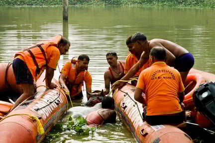 animals in disasters