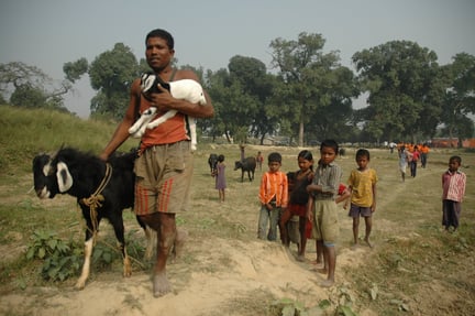 A local man brings his animals to the drill in Bihar, India