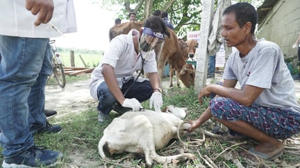 assam flood india 