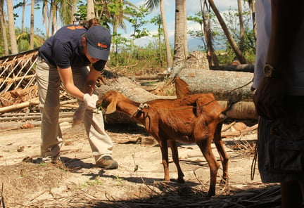 BBC Documentary: Vets in the Disaster Zone